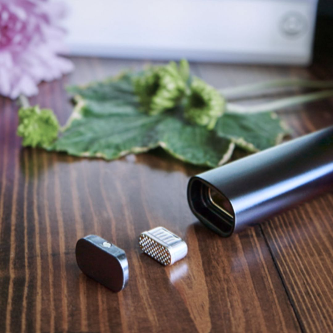 Buy PAX Dry Herb Vaporizer | Pocket Ovens Buy PAX Dry Herb Vaporizer | Pocket Ovens