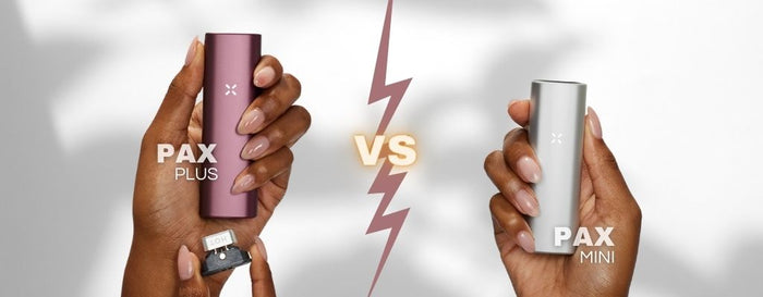 PAX Plus vs Pax Mini Comparison Pocket Ovens