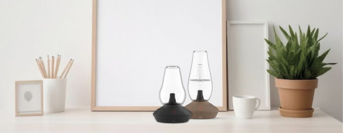 Zenco Cleaning and Maintaining Guide