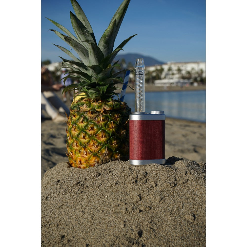 Pineapple and Tinymight 2 Purple Heart on a sandy beach with water and sky in the background